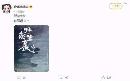 网友爆料商战视频,网友爆料视频深度解析